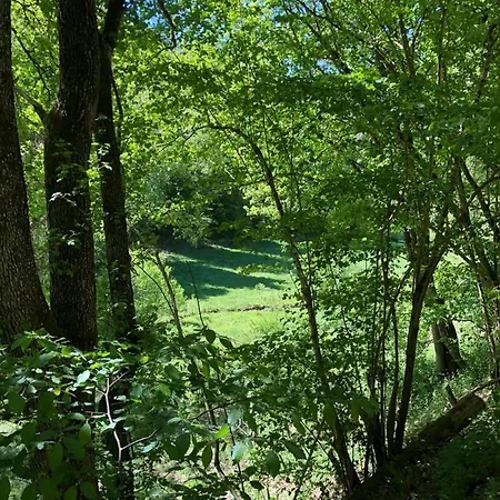 Bb Haus Neugebauer Garni Hotel Geisenheim