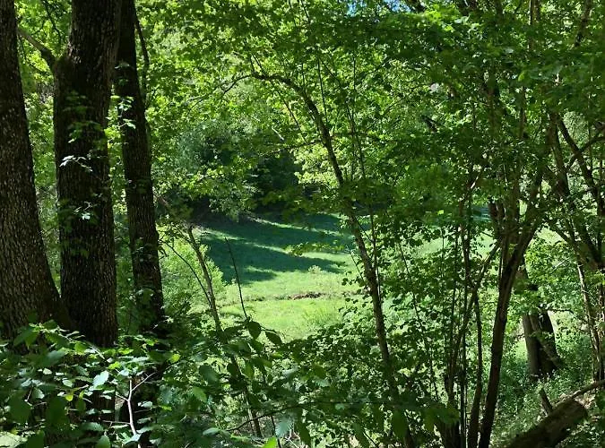 Bb Haus Neugebauer Garni Hotel Geisenheim